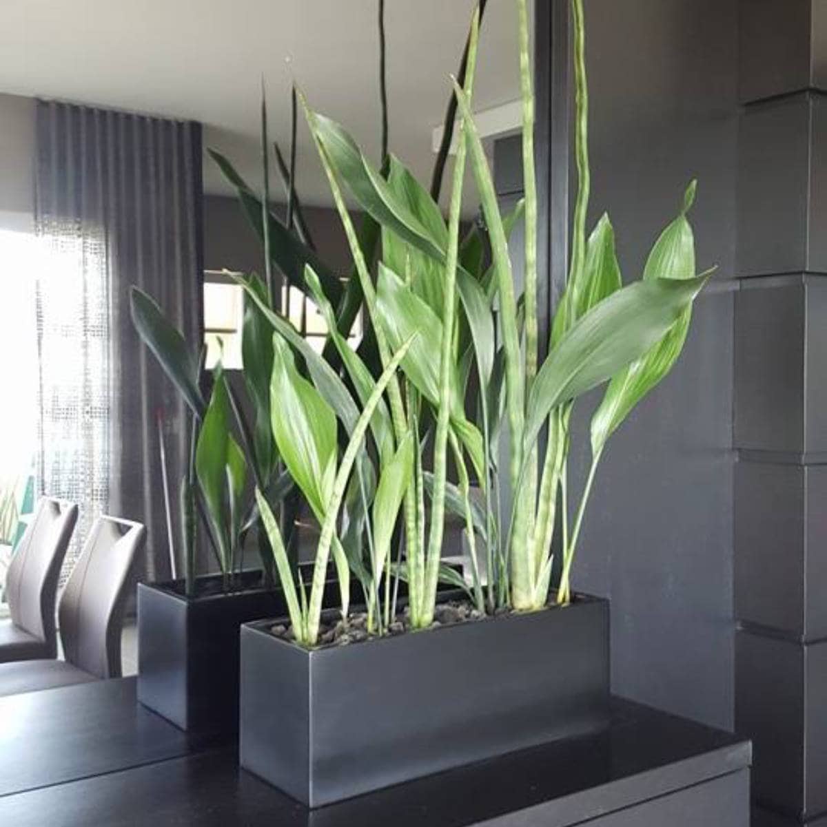 Jay Scotts Tupelo Rectangle Tabletop Planter