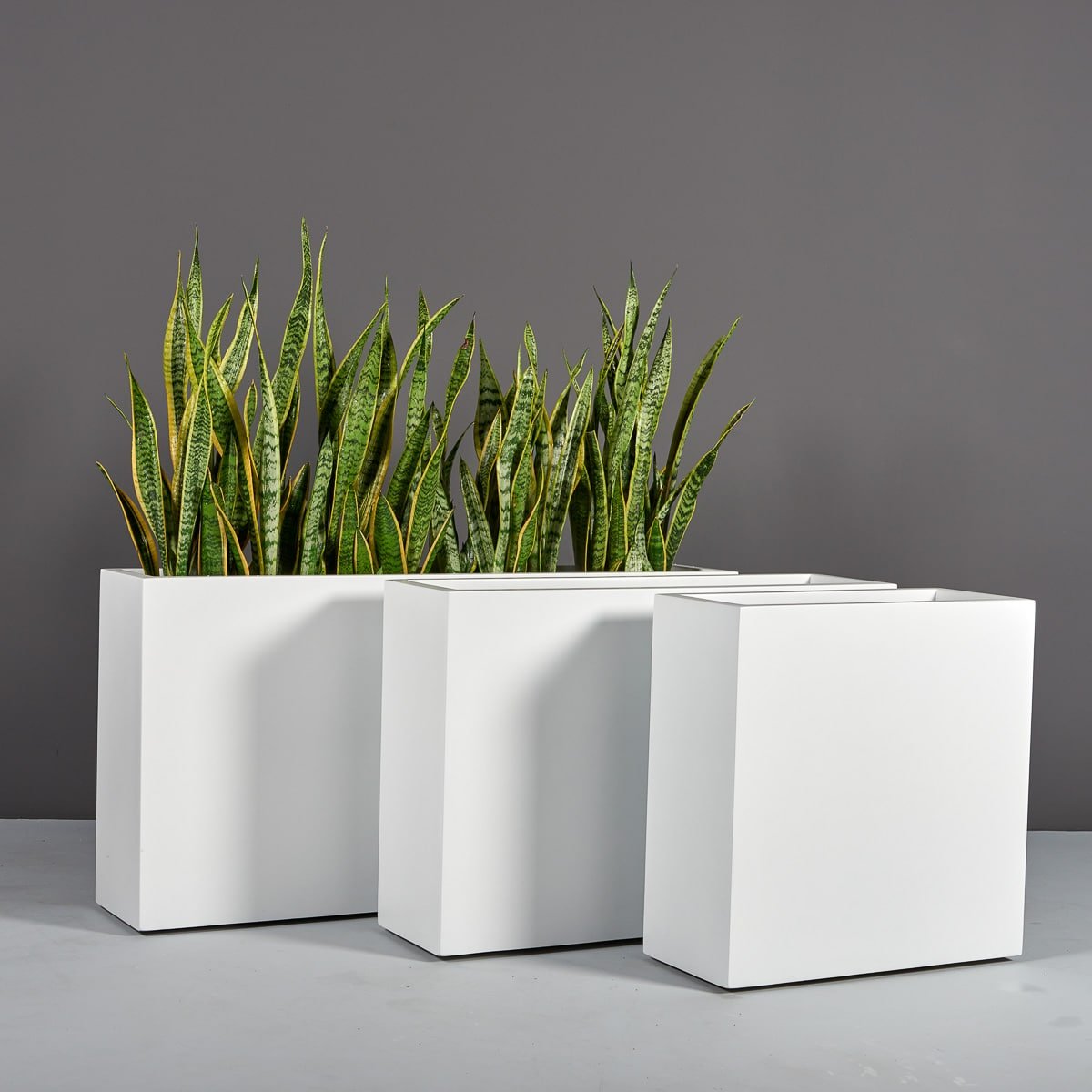 Jay Scotts Hollywood Rectangular Planter