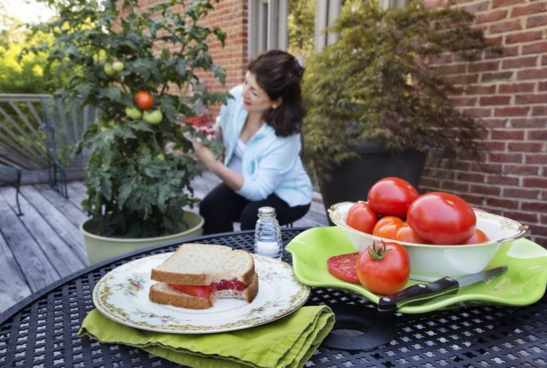 Healthy lifestyle, green living, go green, organic, sustainable, sustainability, products.