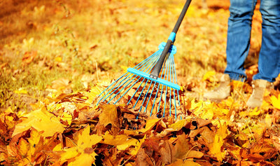Way to Grow: Fall Garden Cleanup Checklist
