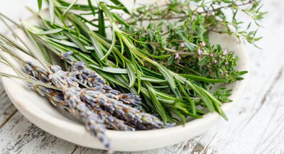 HOW TO DRY, FREEZE AND PRESERVE HERBS