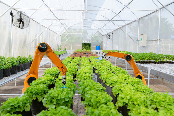 Indoor farming; article posted on Green Living Supply