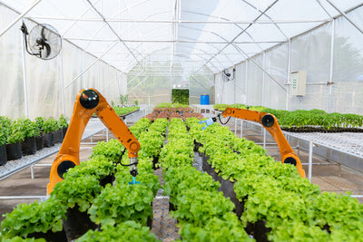 How Vertical and Indoor Farming can Supplement the Food Supply Chain