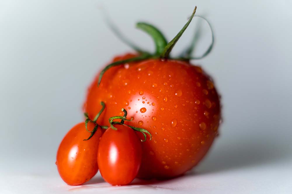 How to Grow The Best Tomato Plants in Containers