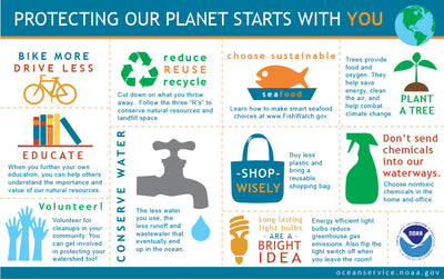 Green Living: 10 Simple Choices for a Healthier Planet