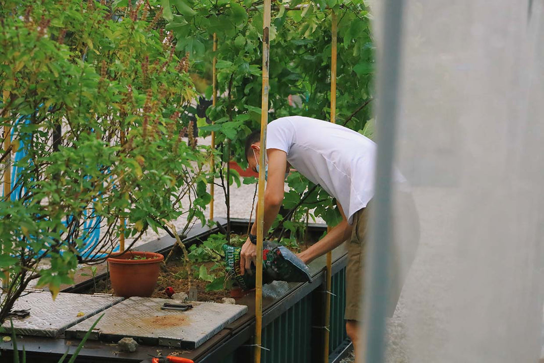 9 Beginner Raised Bed Garden Mistakes to Avoid