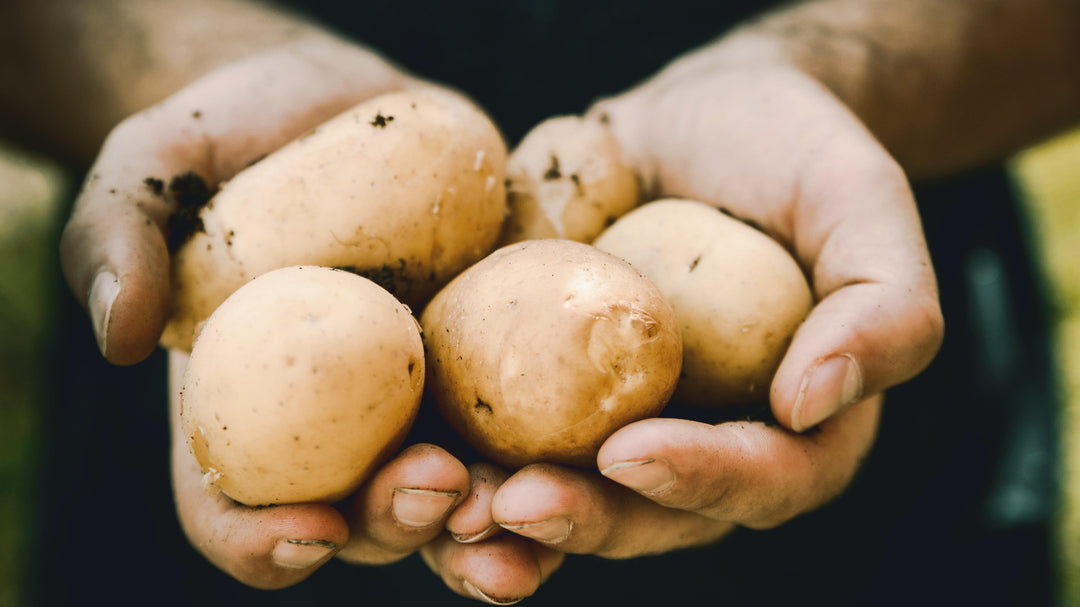 How to grow potato's in a trash bag.  See the video on Green Living Supply