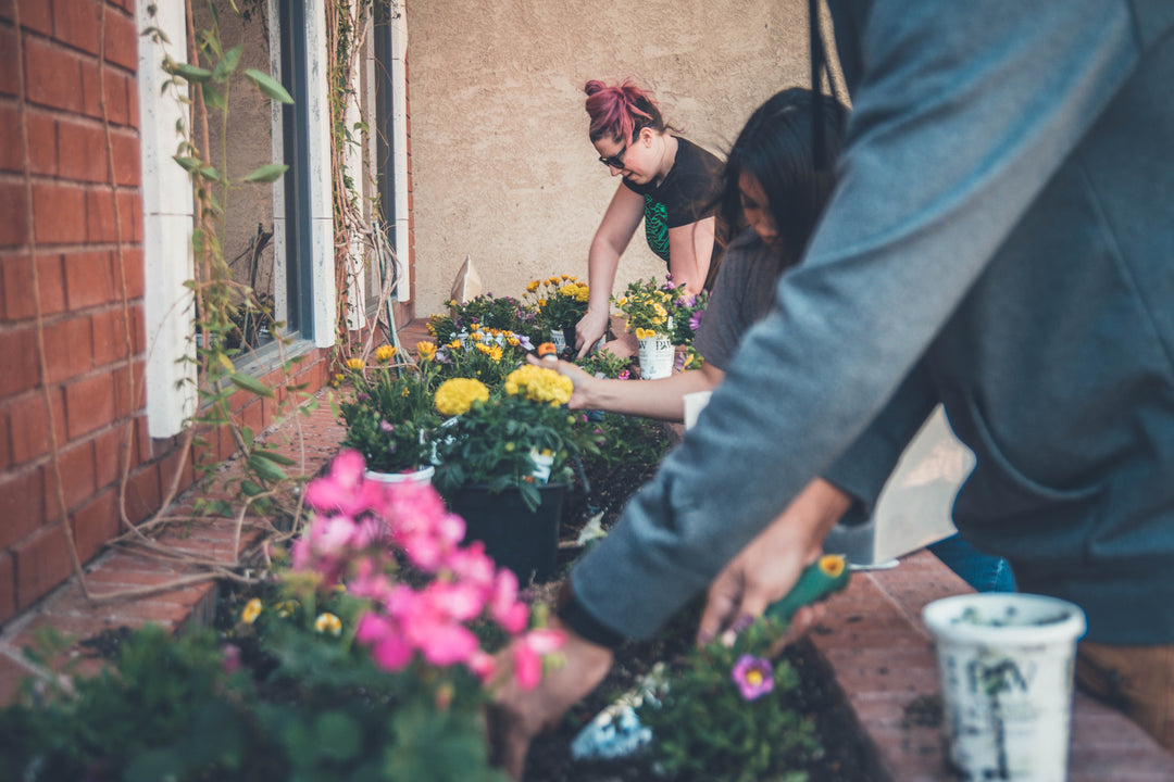 Find Out Why Our Customers Love Green Living Supply