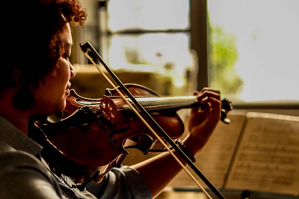 The World’s First Vegan Violin Gets Vegan Society Trademark
