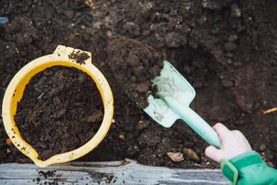 How To Make Compost the Easy Way