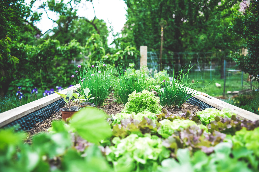 Soil preparation for your garden, gardening, Green Living Supply