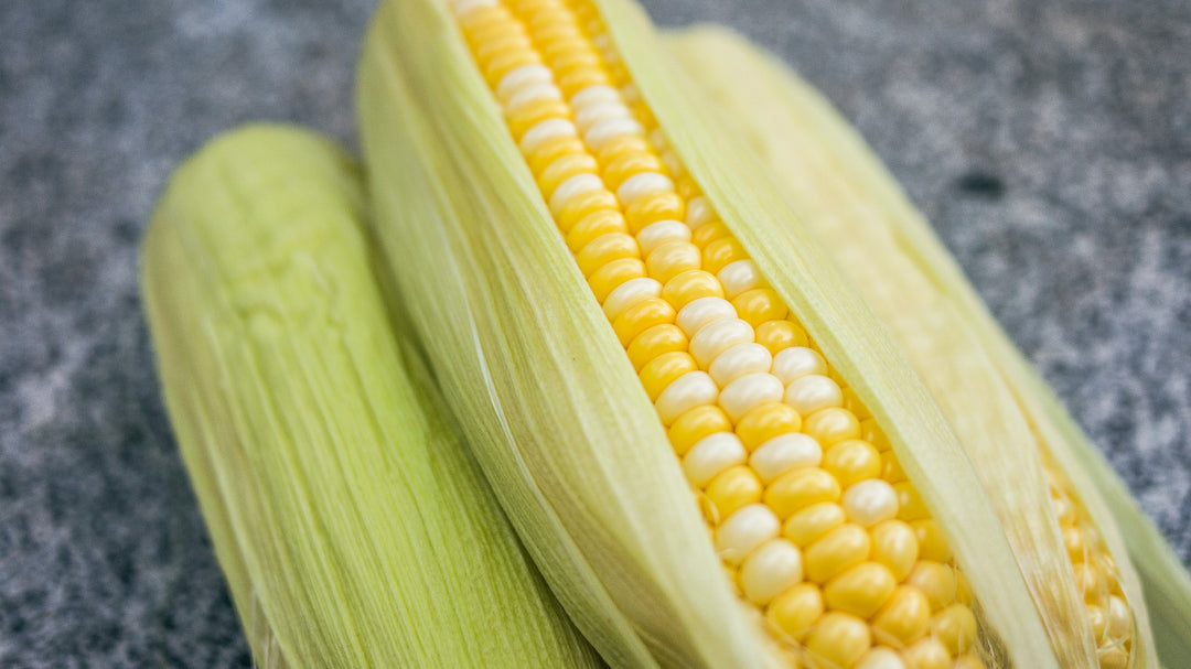 Corn, corn on the cob, vegetables, gardens, gardening, sustainable, organic, 