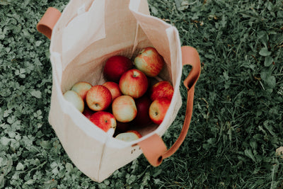 8 Reasons You Should Use Reusable Grocery Bags