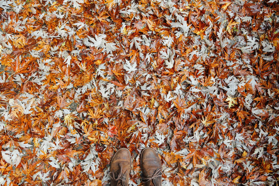 Leave the Leaves, green living supply, go green, sustainability, organic, lifestyle, vegan, gardening