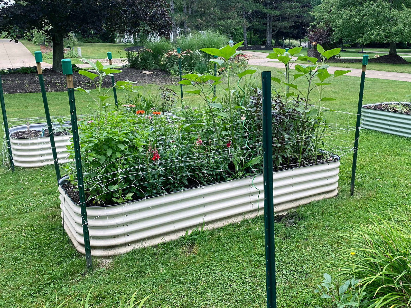 Steel Raised Bed
