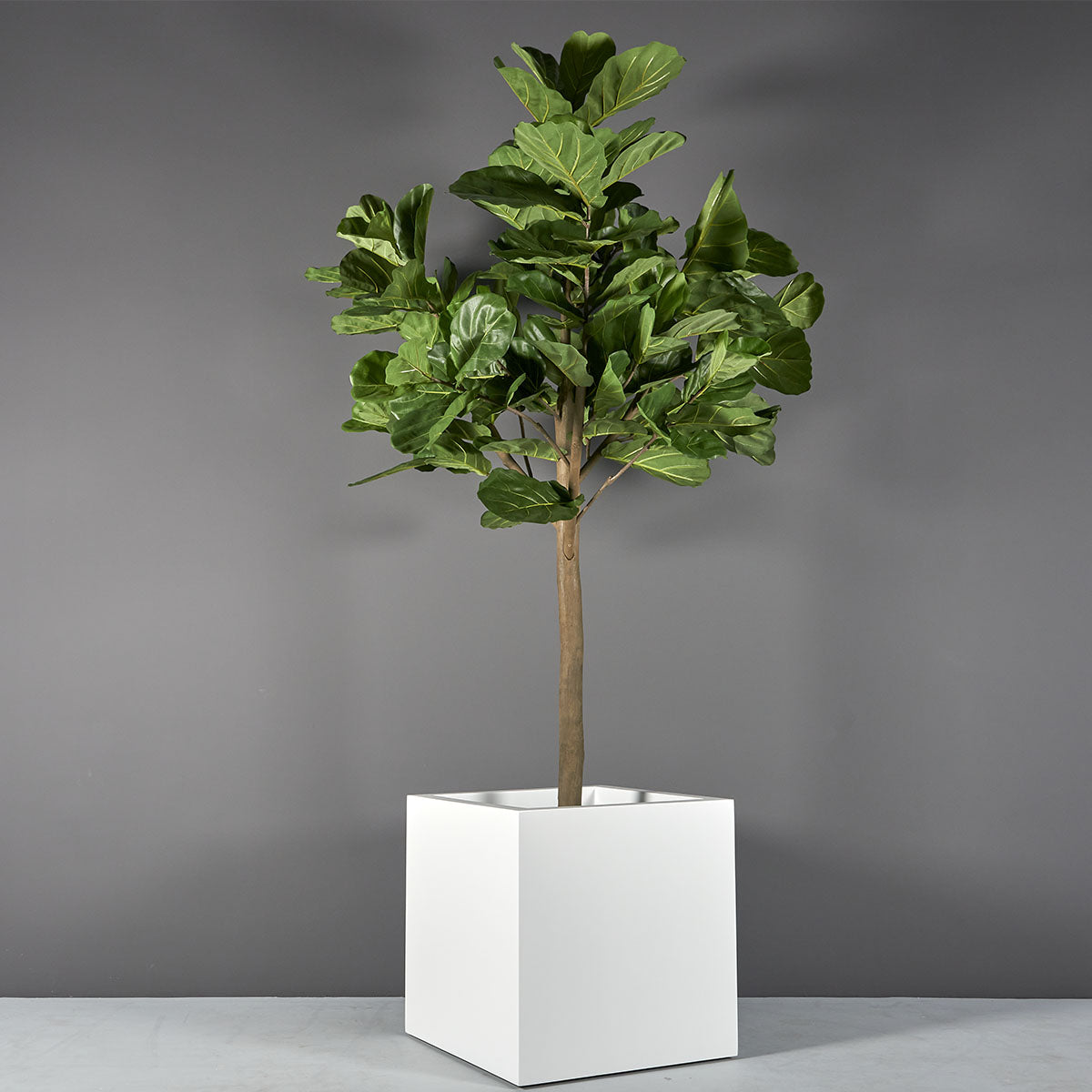Square Fiberglass Planters