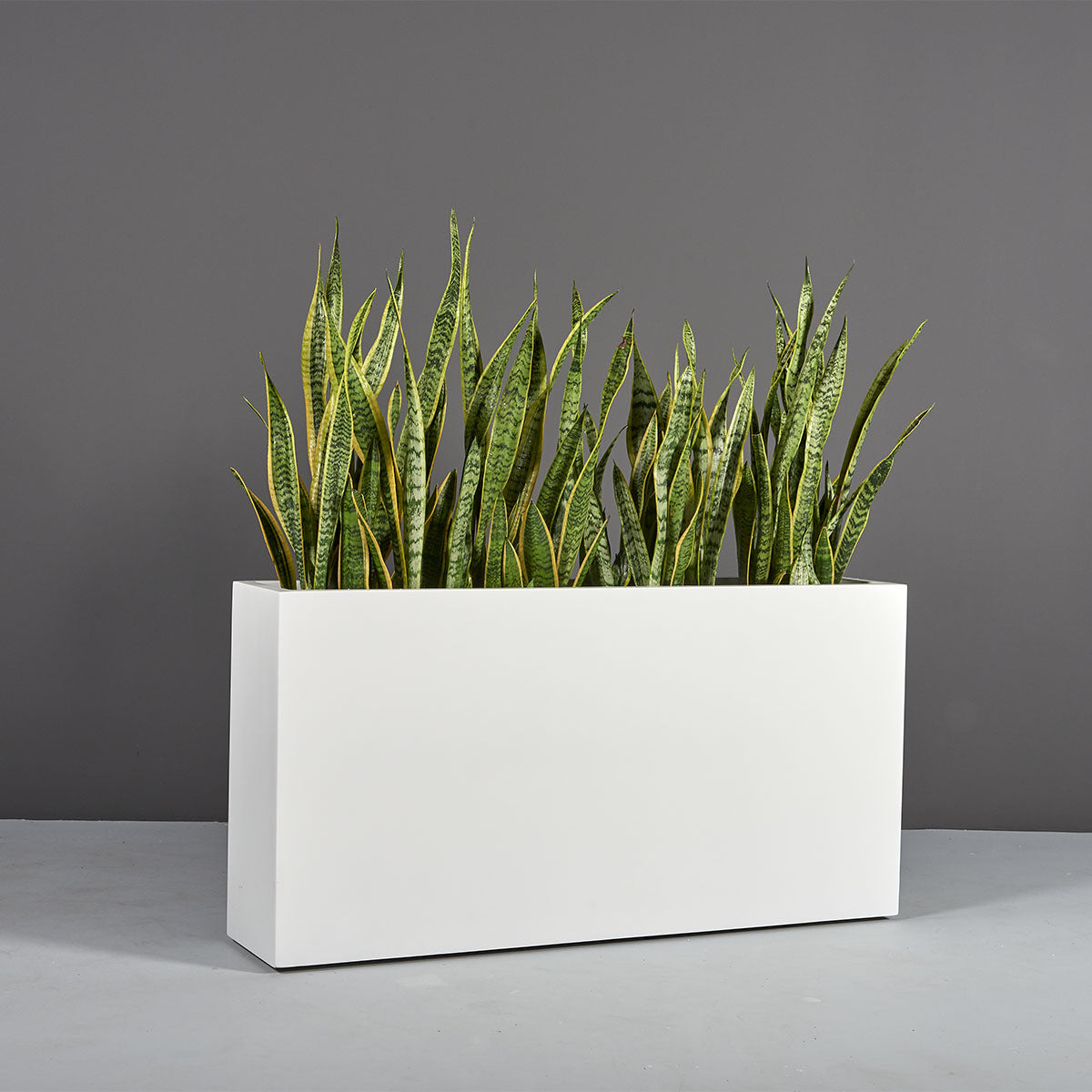 Rectangular Fiberglass Planters