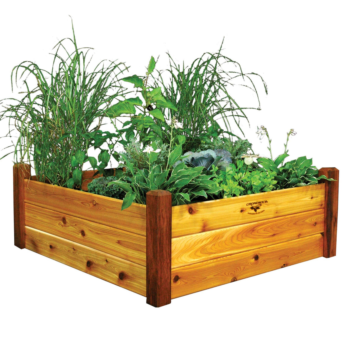 Raised Bed Gardens