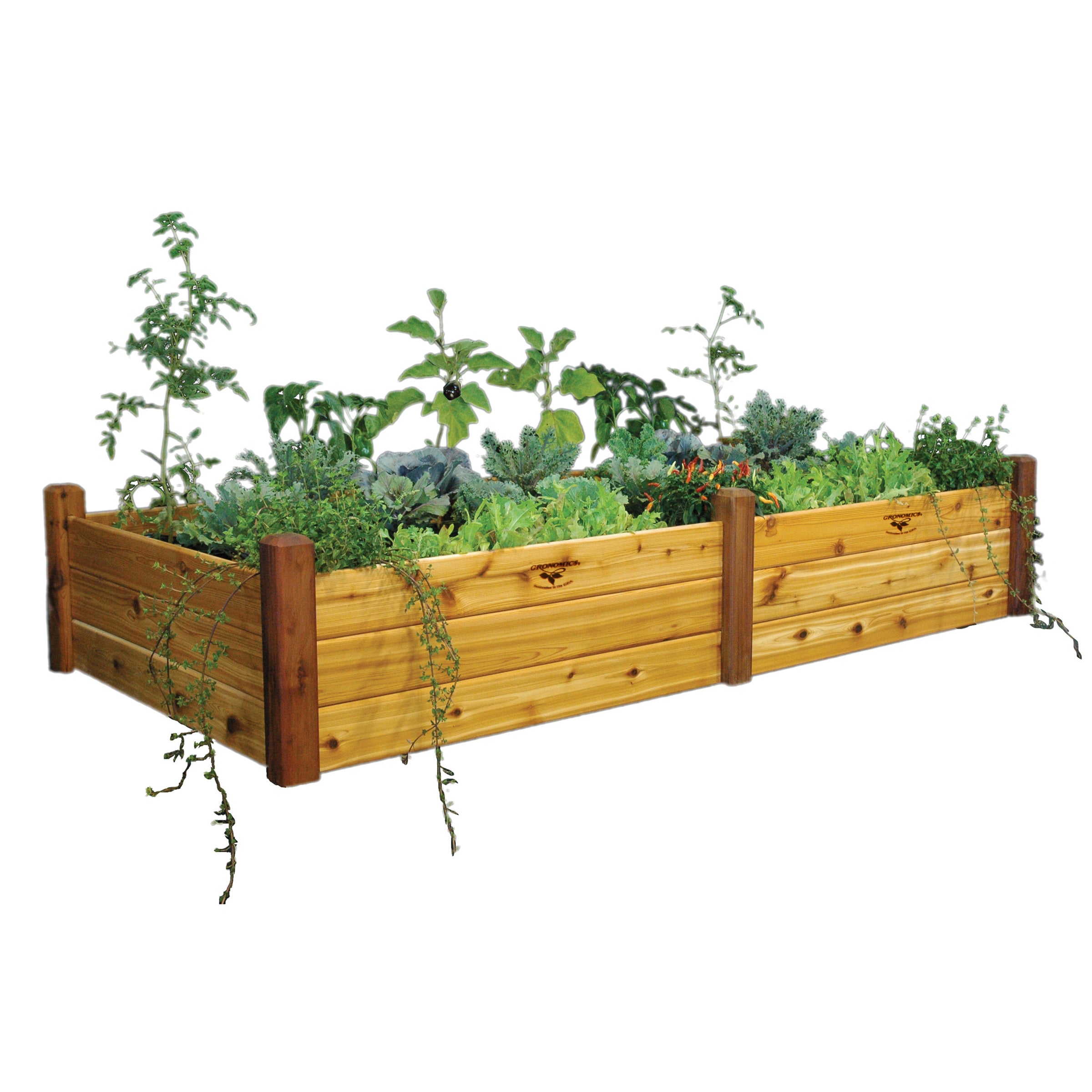 Gronomics Raised Bed