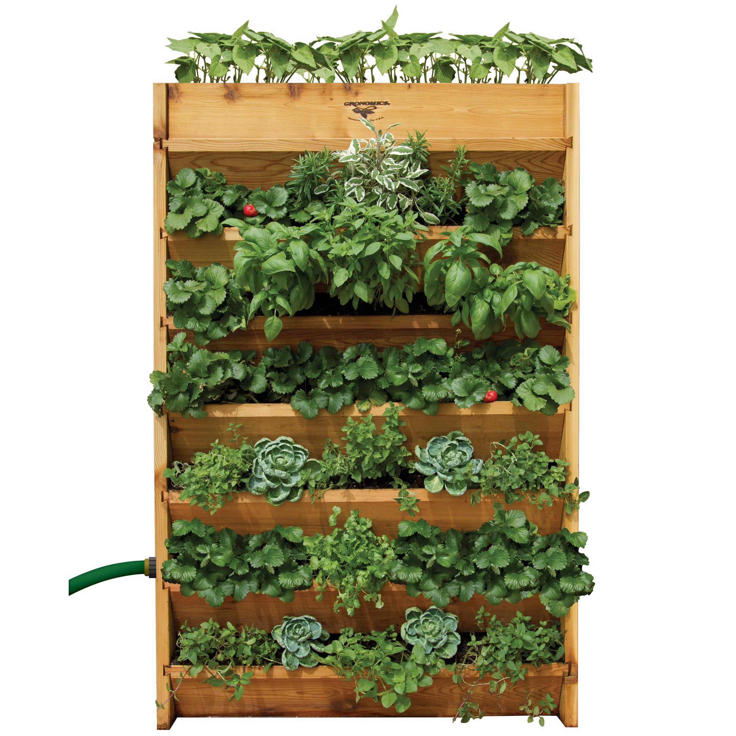Vertical Gardens