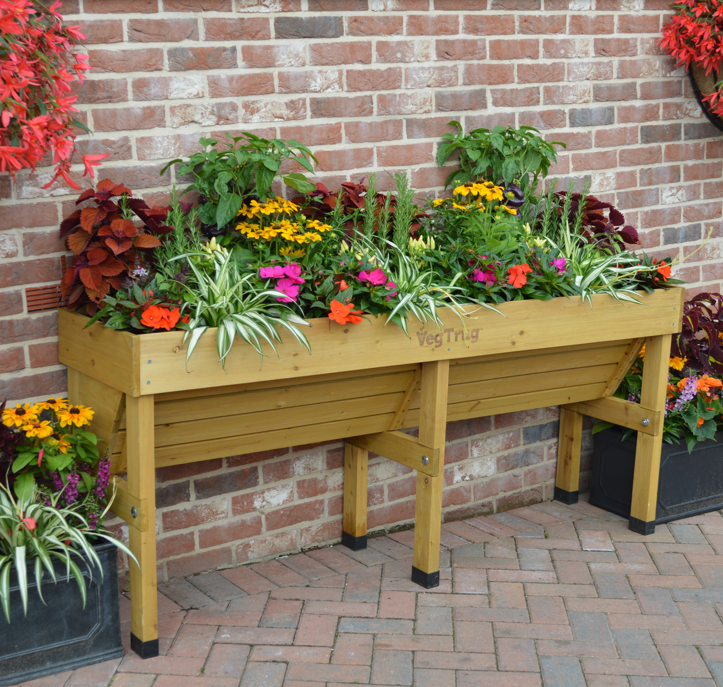 Veg Trug Elevated Bed