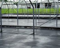 Ground Covering