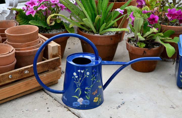 Burgon &amp; Ball® British Meadow Indoor Watering Can, RHS Endorsed