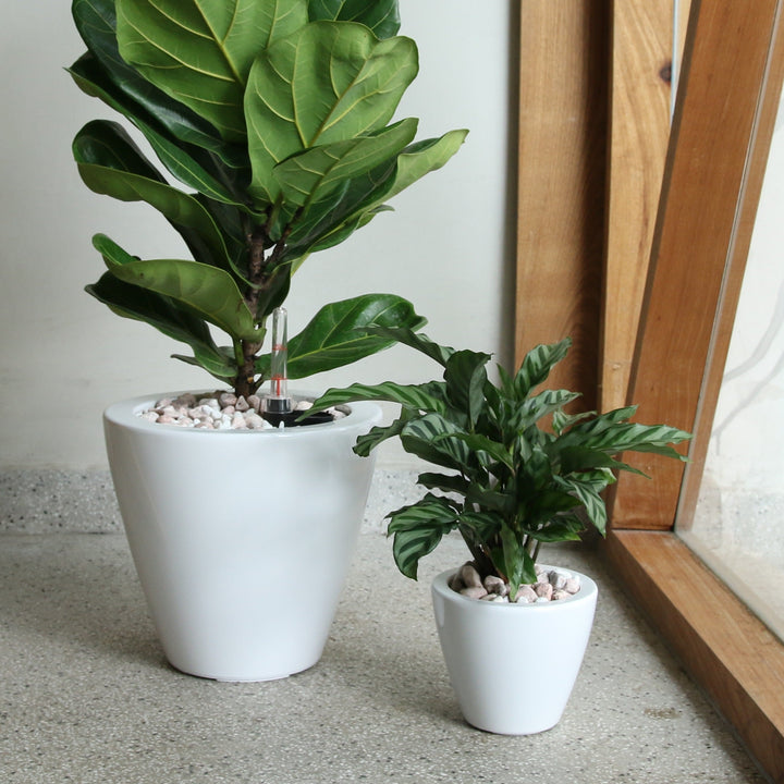 2-Pack Smart Self-Watering Planter Pot for Indoor and Outdoor