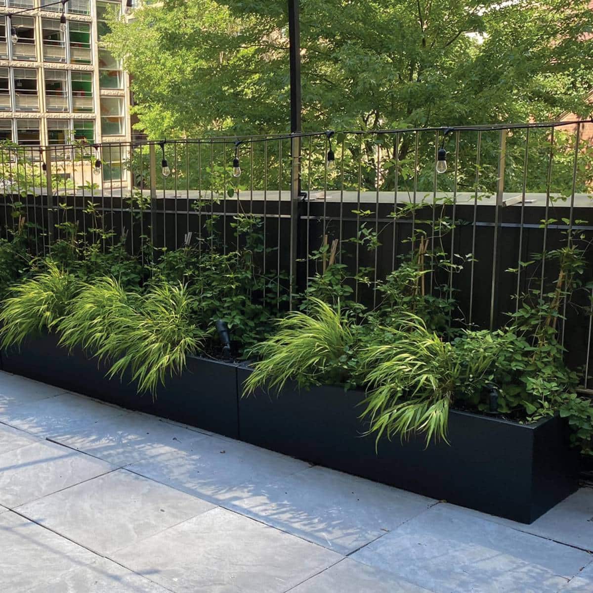 Jay Scotts Antwerp Wide Rectangular Planter