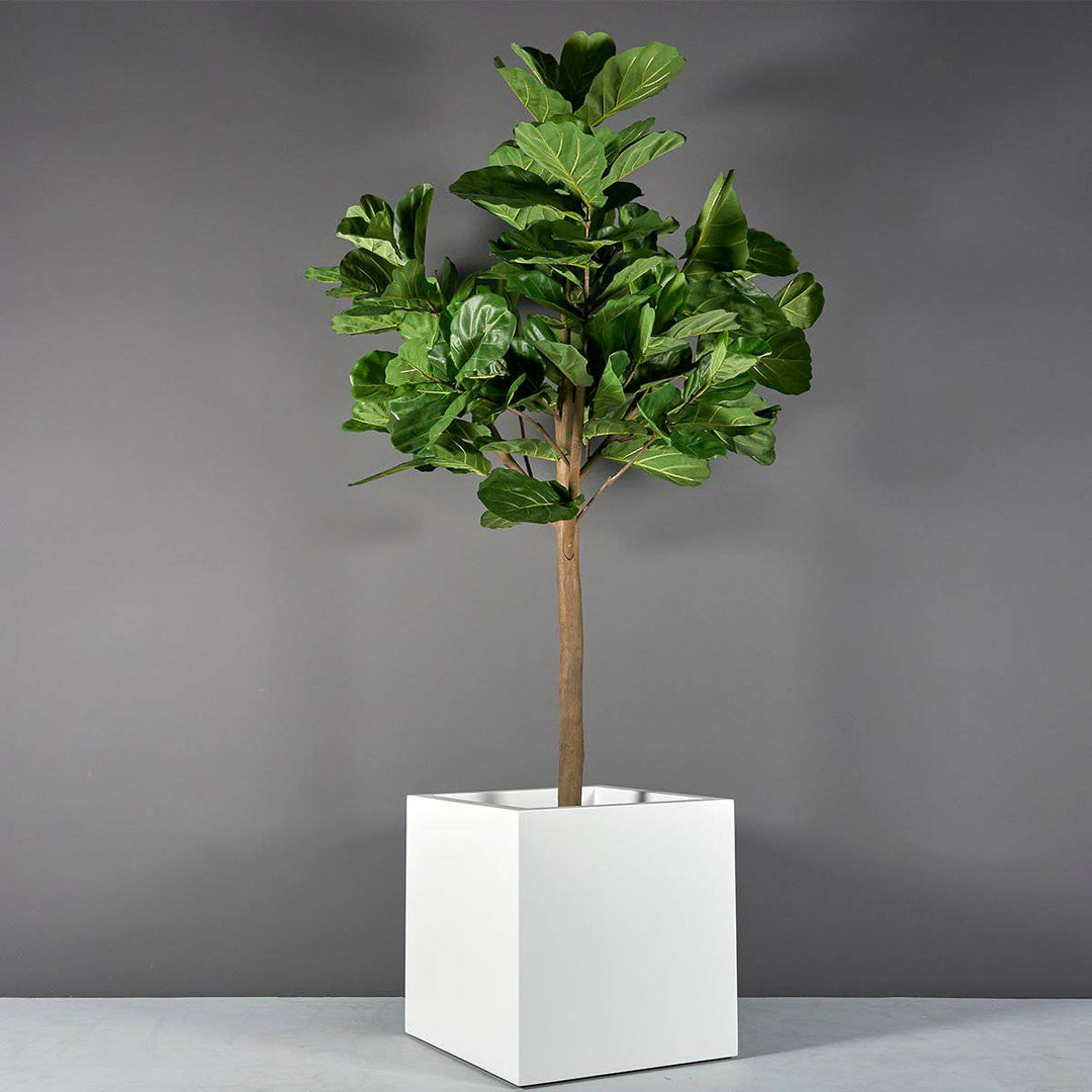 Jay Scotts Montroy Cube Planter 22" L x 22" W x 22" H