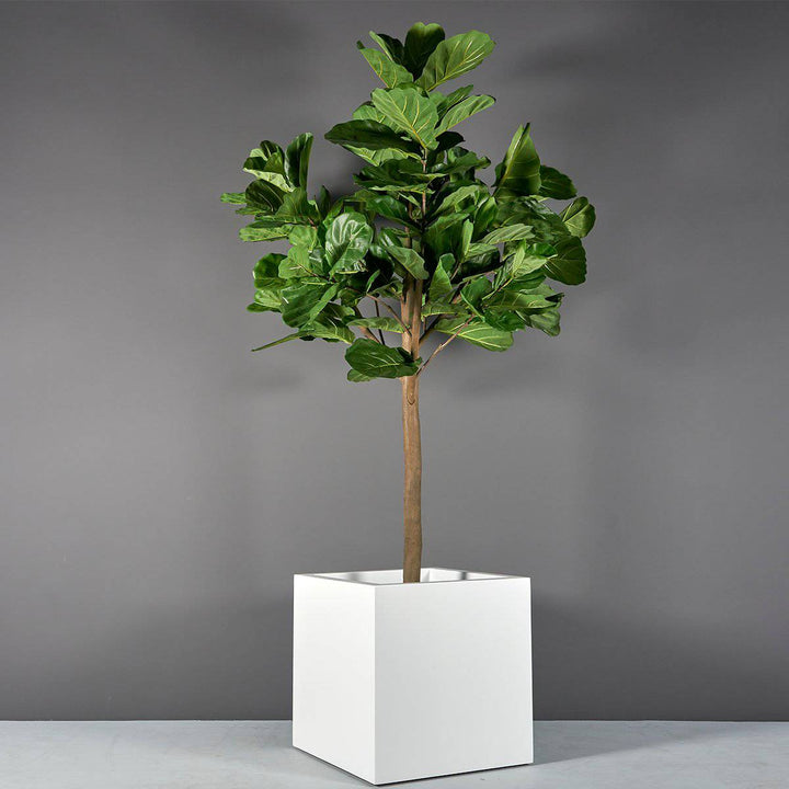 Jay Scotts Montroy Cube Planter 16" L x 16" W x 16" H