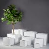 Jay Scotts Montroy Cube Planter 20" L x 20" W x 20" H