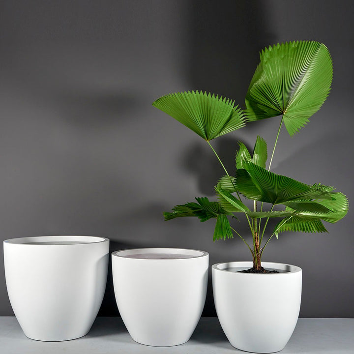 Jay Scotts Wannsee Extra Large Round Planter