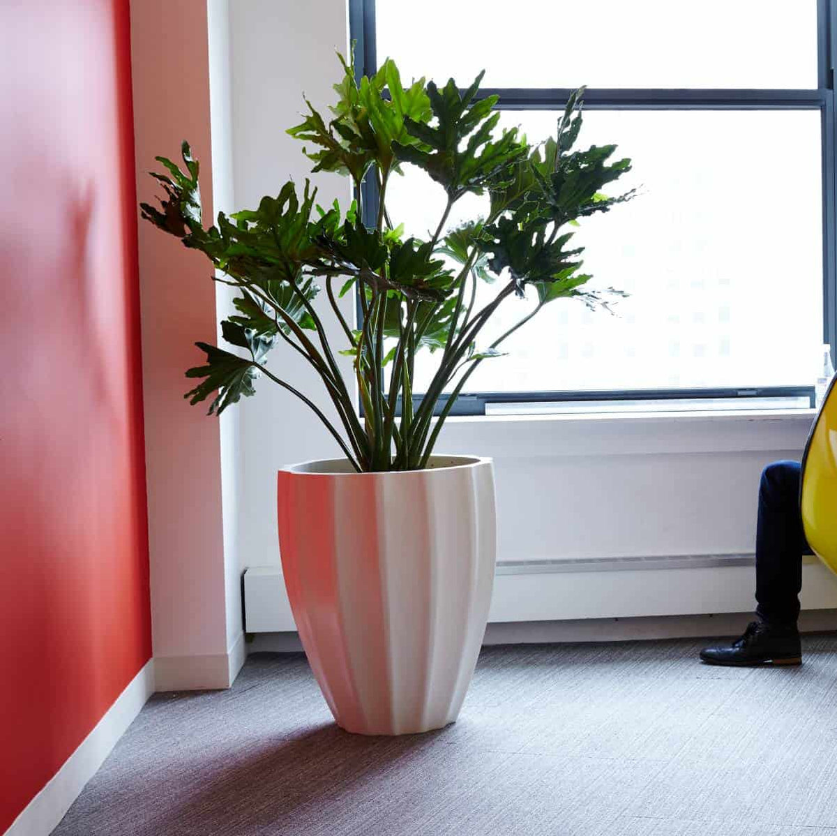 Jay Scotts Alicante Fluted Round Planter