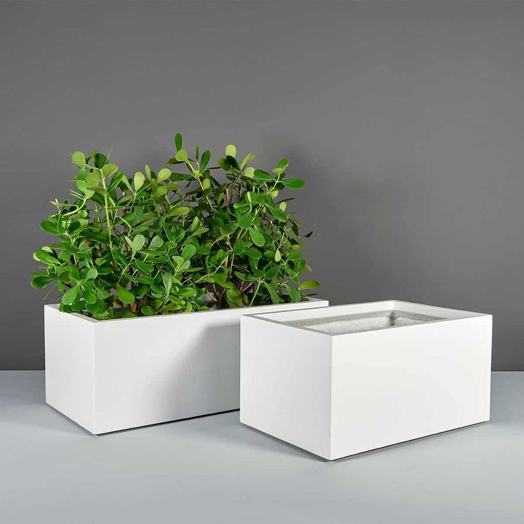 Torino Wide Rectangle Planter