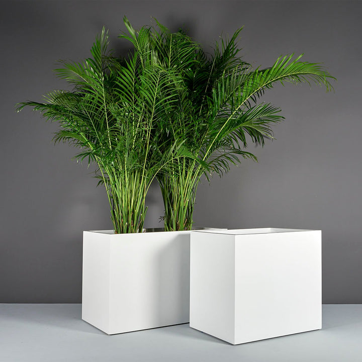 Jay Scotts Brisbane Wide Rectangular Planter