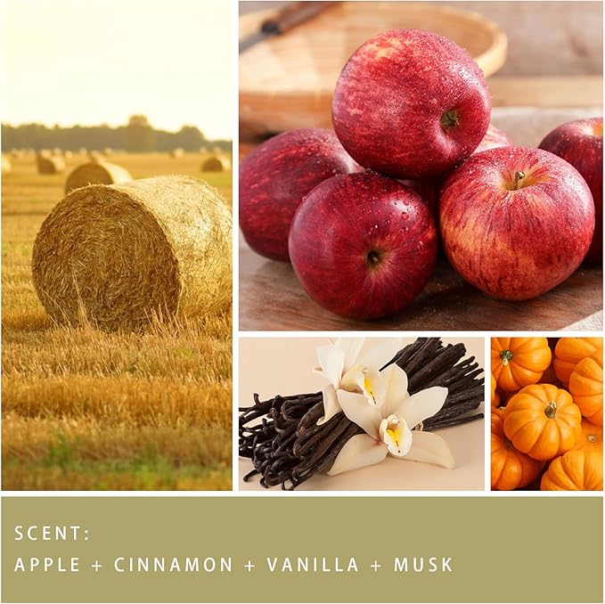 Fall Candle - Harvest Season Scented Candle, Fall Soy Candles for Home Decor, 7 oz Natural Soy Wax – Long-Lasting Autumn Candles, Aromatherapy Gift for Women &amp; Thanksgiving, 7oz