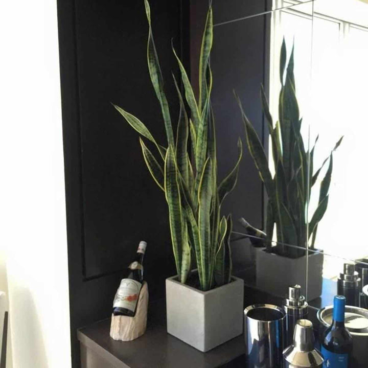 Jay Scotts Tonto Small Cube Planter