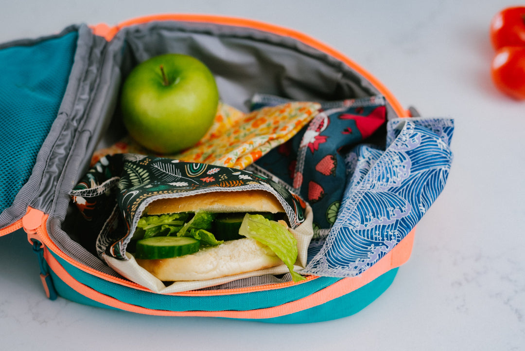 Reusable Snack and Sandwich Bags