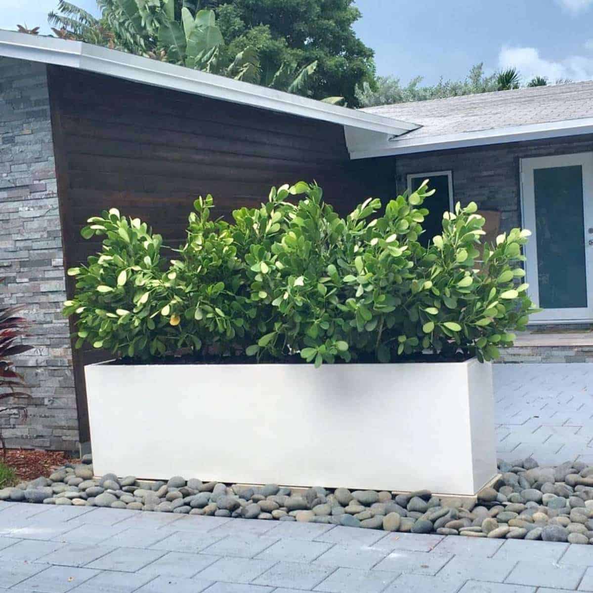 Jay Scotts Hudson Extra Long Rectangular Planter
