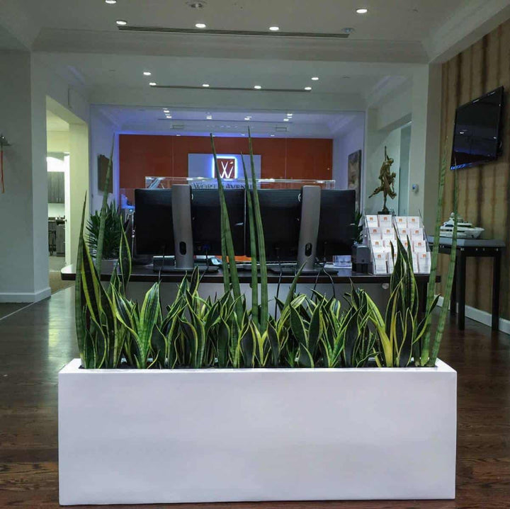 Jay Scotts Camoux Narrow Fiberglass Planter Box - 48" L x 8" W x 18" H