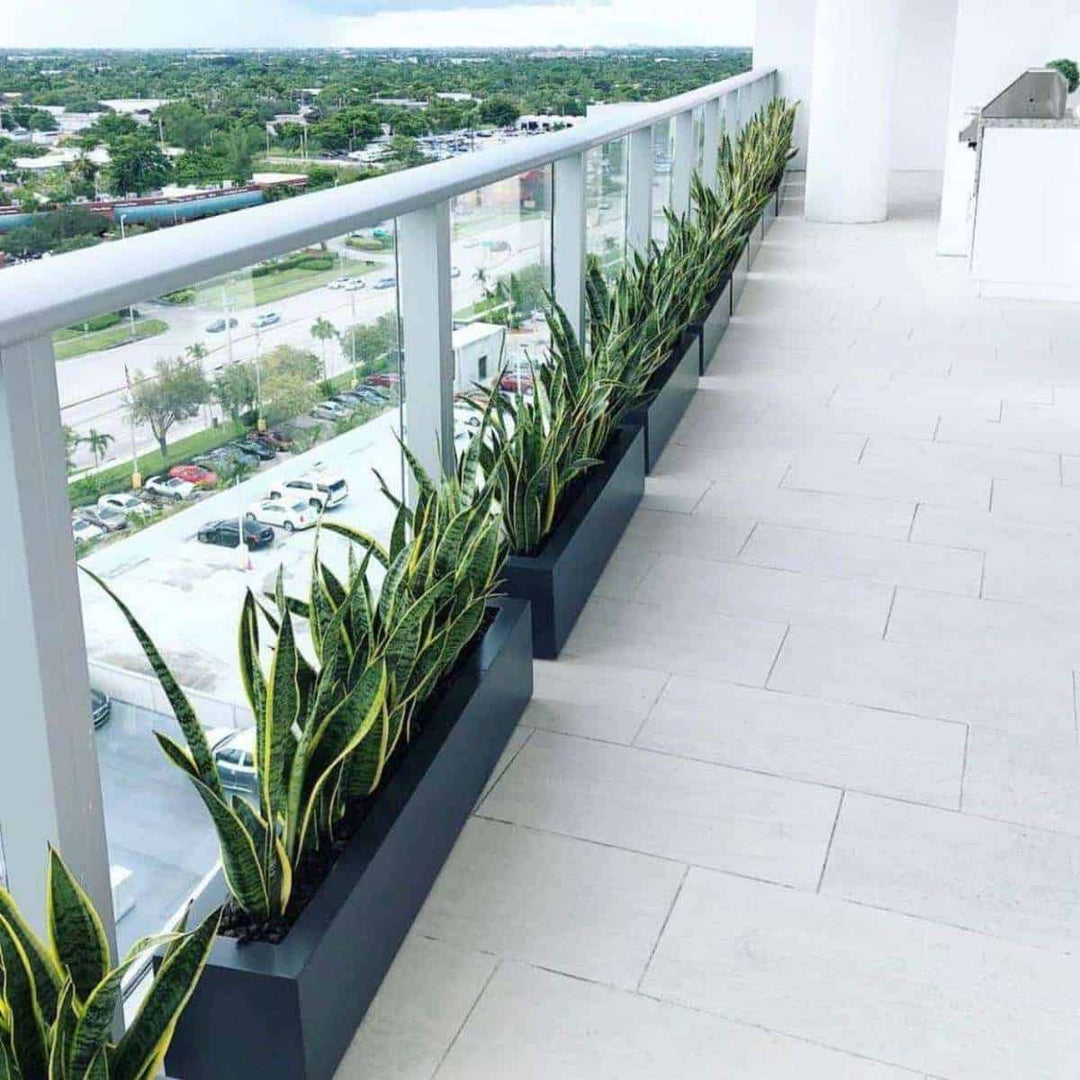 Salon Rectangle Fiberglass Planter- 36" L x 8" W x 8" H