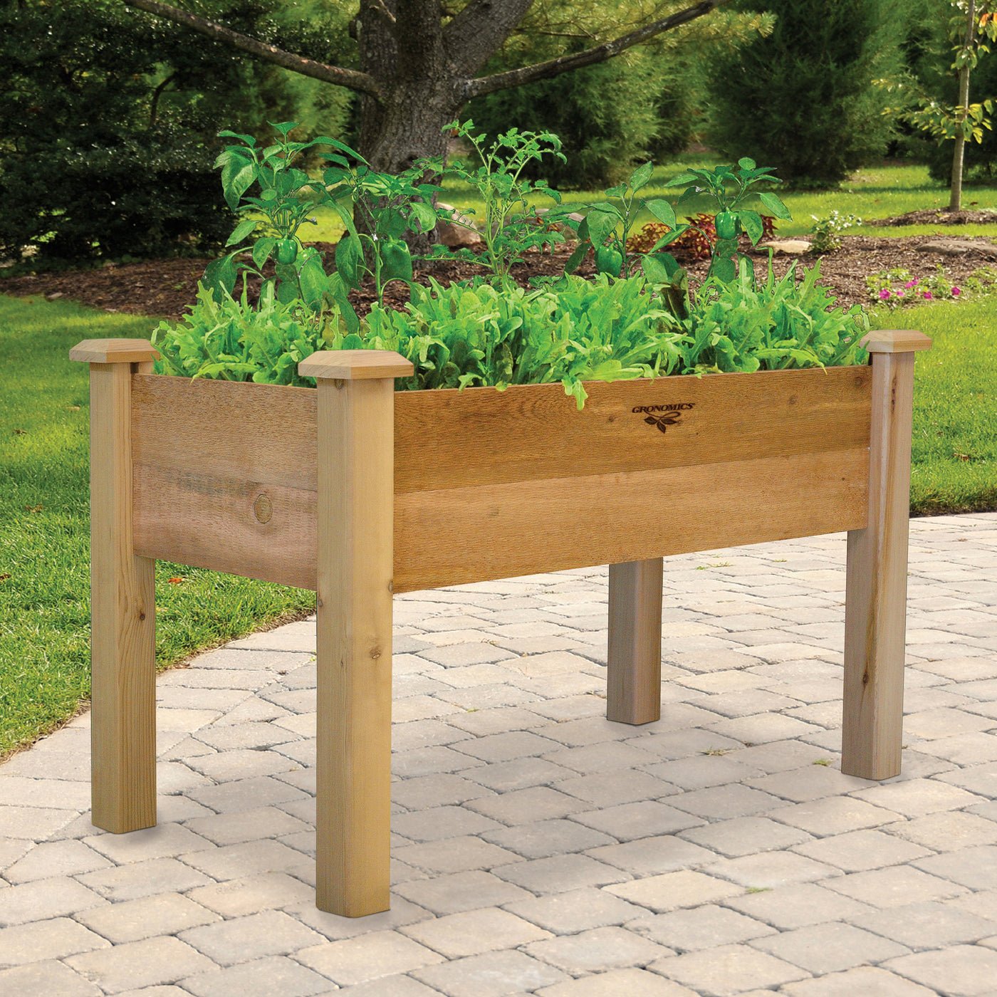 Dispenser Per Fieno Living World Green - In Legno E Acrilico Per Piccoli Animali - Foto 11