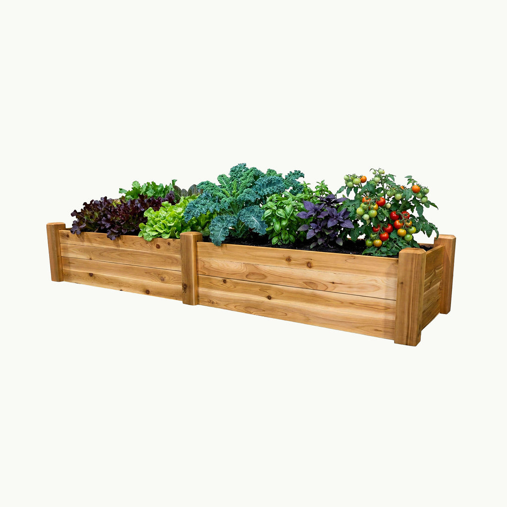 Gronomics Raised Garden Bed