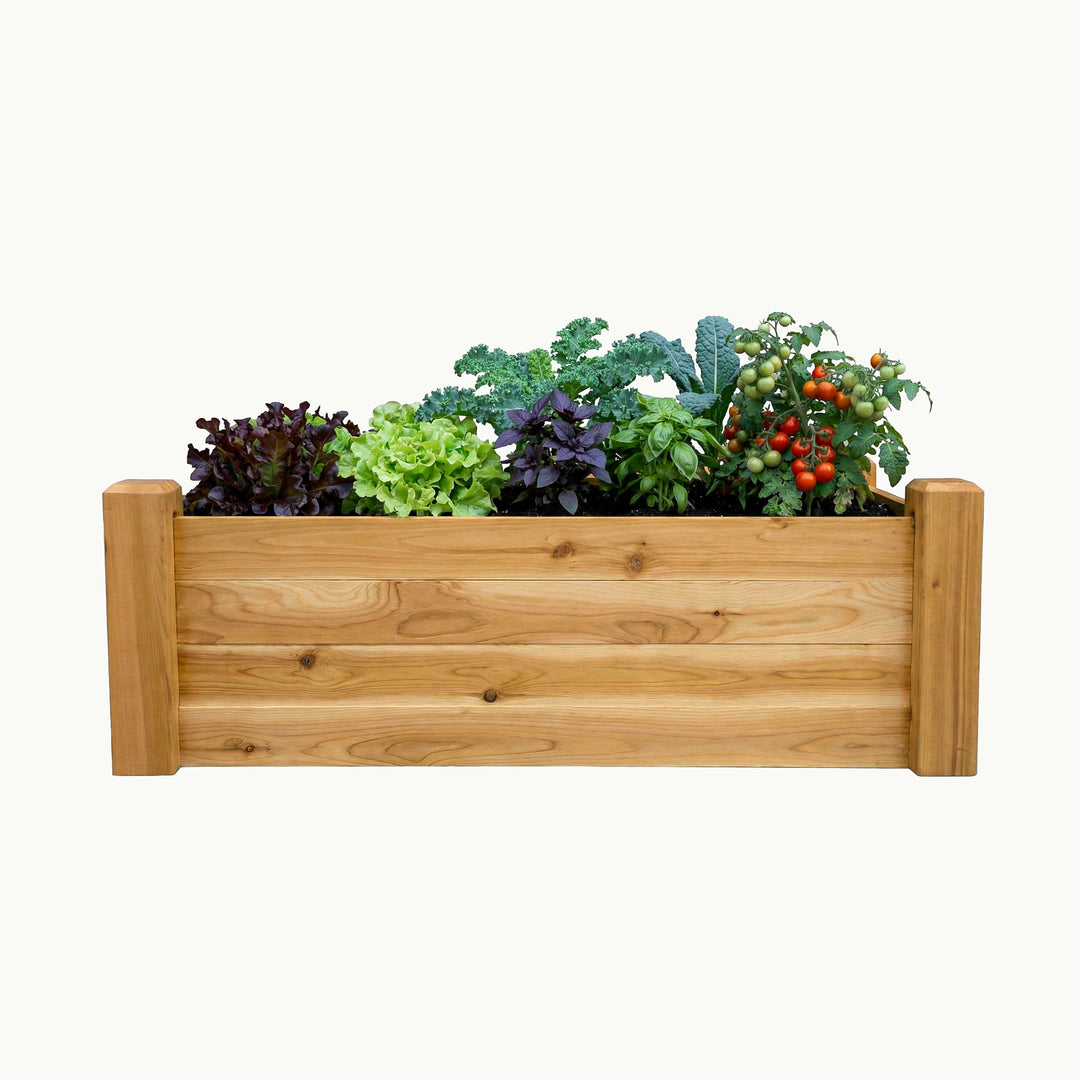 Gronomics Raised Garden Bed - 24" x 48" x 16"-