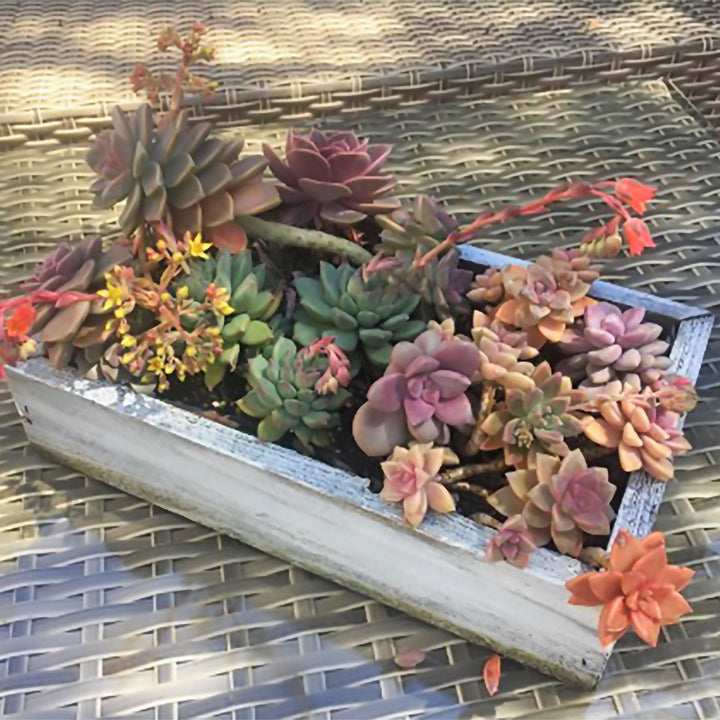 Rustic Redwood Planter Box Set with Rope Handles (9-Piece Collection)-Made in the U.S.A