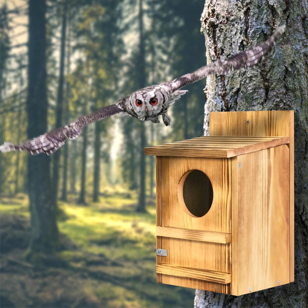 Outdoor Wooden Screech Owl BirdHouse for Mounting - Made in the U.S.A