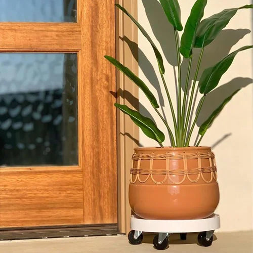 Devault 12" Plant Dollies