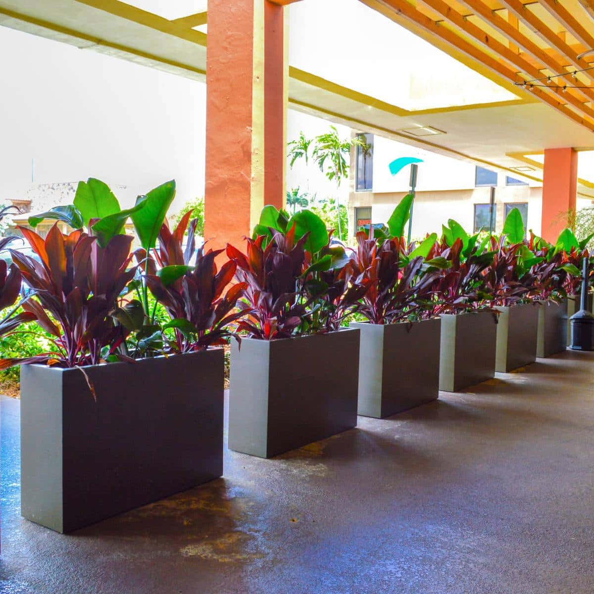 Jay Scotts Tolga Rectangular Planter