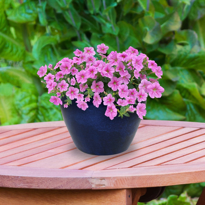 Round Glazed Ceramic Planter with Drainage